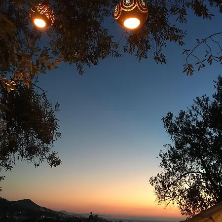 Sandima 37 5* יאליקאבאק