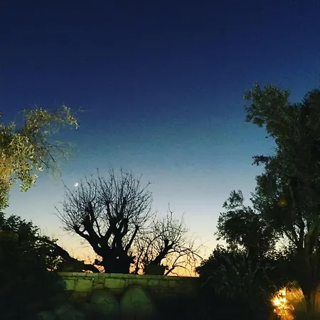 Sandima 37 Yalıkavak