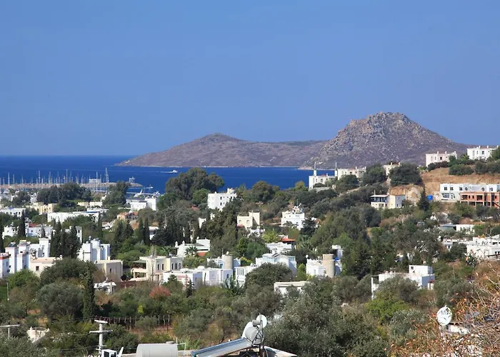Hotel Sandima 37