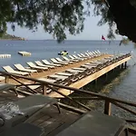 Sandima 37