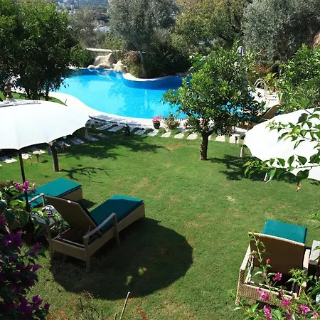 Sandima 37 מלון 5*